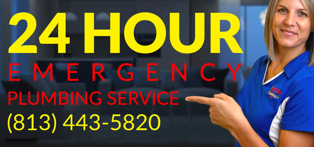 Fish Hawk Florida 24 Hour Emergency Plumbing Service