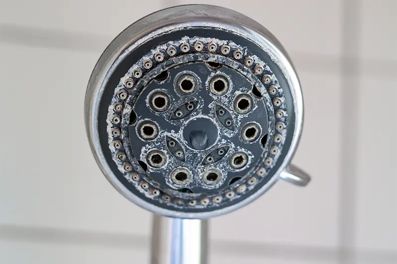 hard water stains on shower head